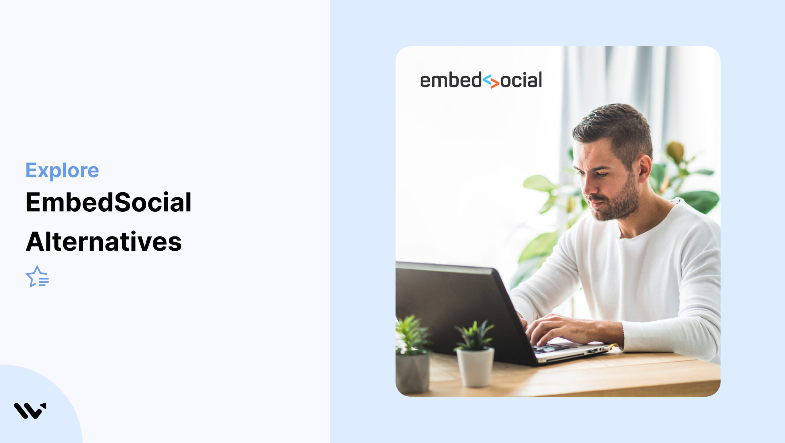 EmbedSocial Alternatives 